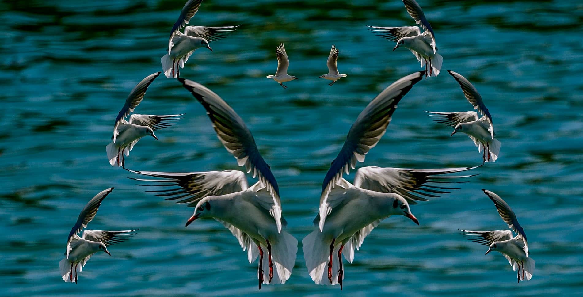 visiter ile oleron