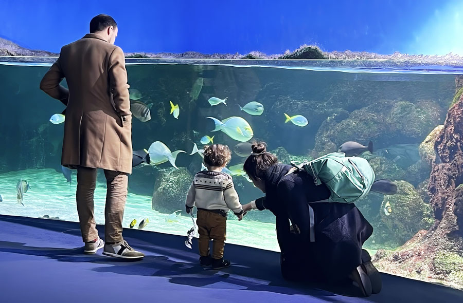 Bezoekers: geschiedenis van het aquarium van La Rochelle